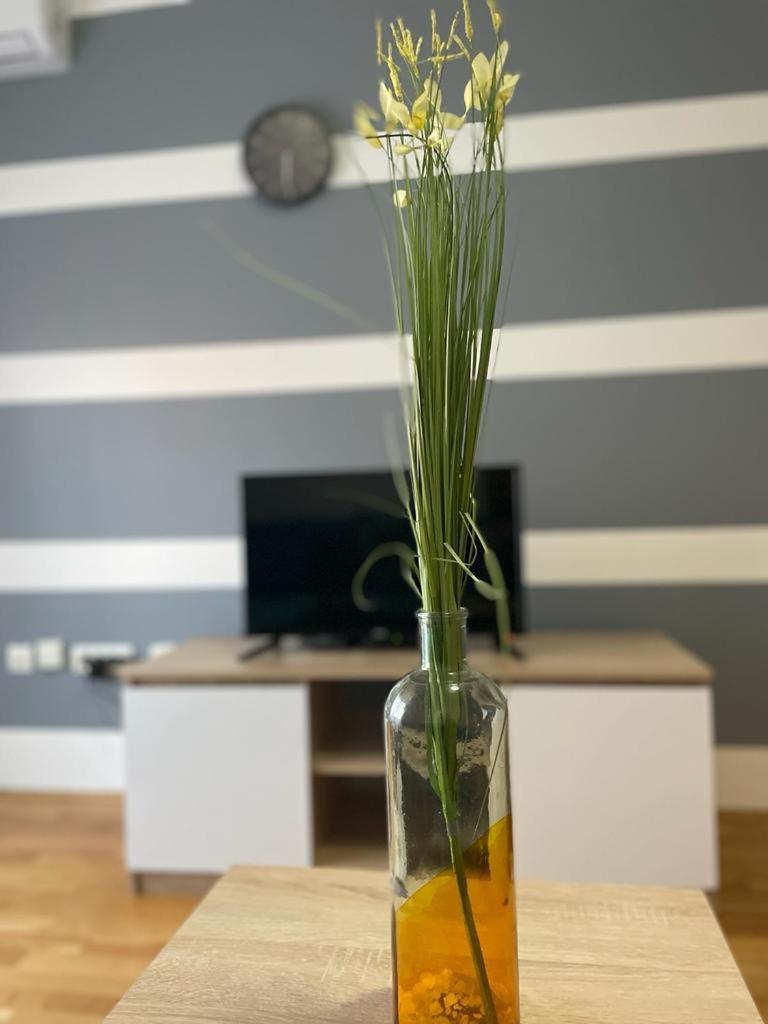 Naki Apartmani Подгорица Стая снимка